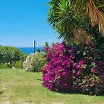 La Conchiglia كابوليفيري
