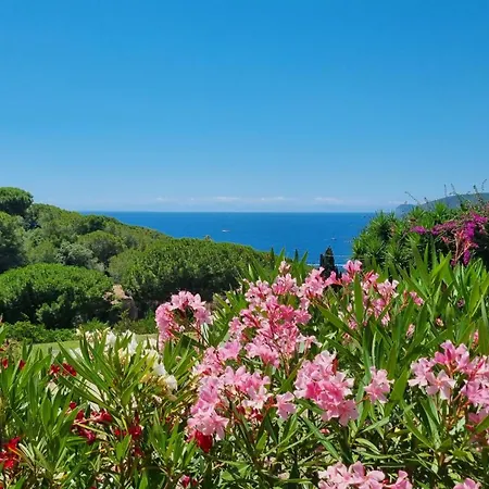 La Conchiglia Appartement *