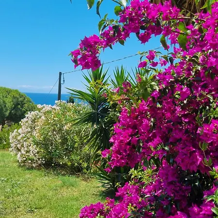 La Conchiglia Daire Capoliveri (Isola d'Elba)