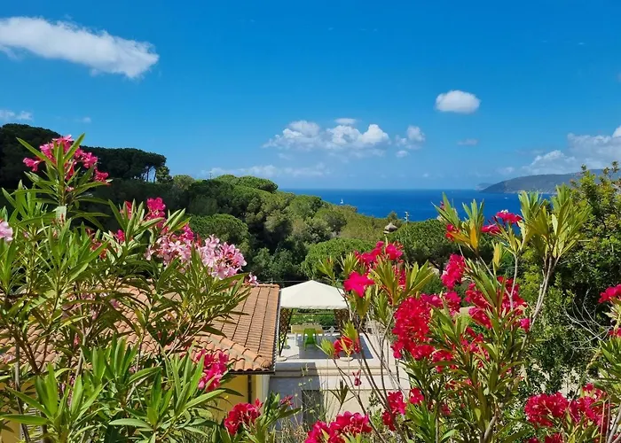 Apartament La Conchiglia *