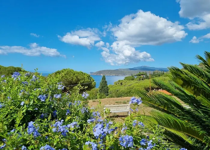 Apartament La Conchiglia Capoliveri (Isola d'Elba)