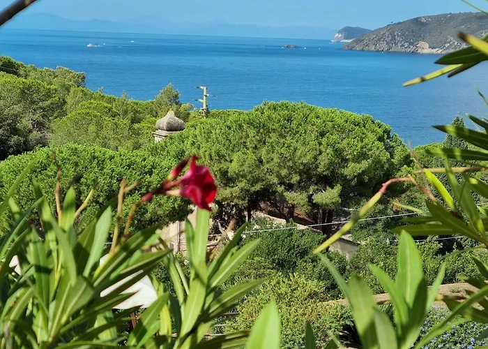 La Conchiglia Capoliveri (Isola d'Elba)