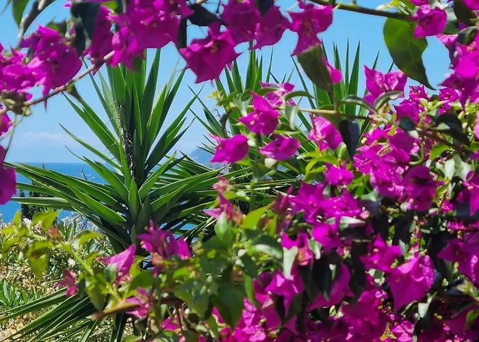 La Conchiglia * Capoliveri (Isola d'Elba)