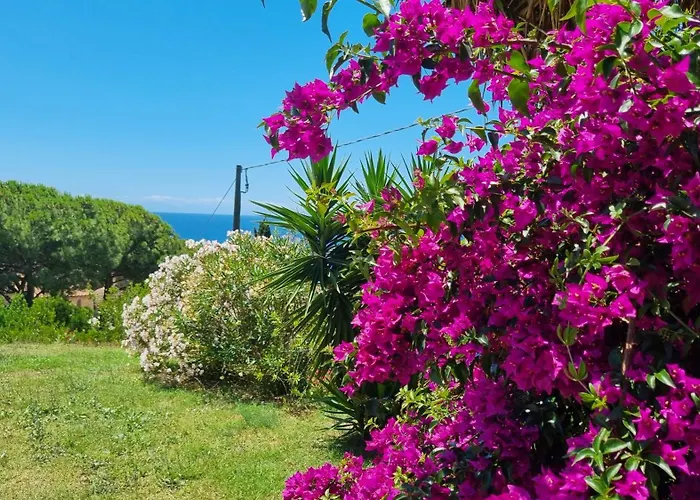La Conchiglia Apartament Capoliveri (Isola d'Elba)