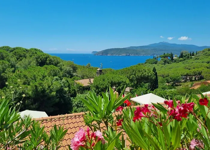 La Conchiglia Apartament Capoliveri (Isola d'Elba)