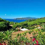 La Conchiglia